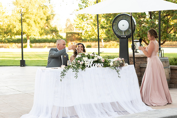Wedding-572