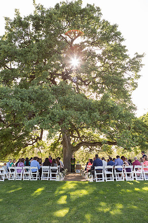 Wedding-162