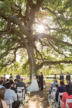 Wedding-211