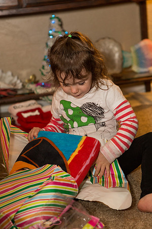 2014-Christmas-085