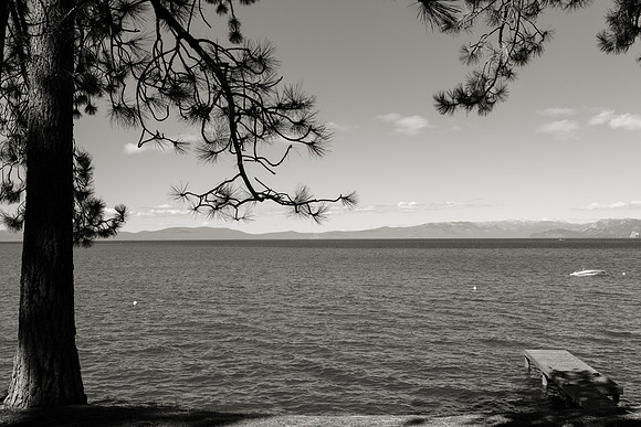 Wedding-024-BW