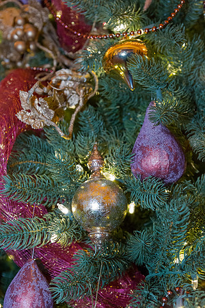 Holiday2017-024