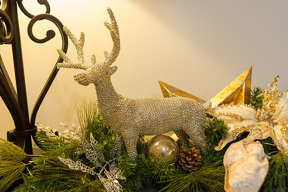 Holiday2017-084