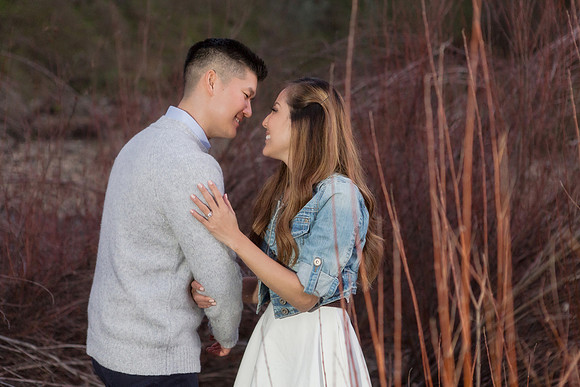 Engagement-41