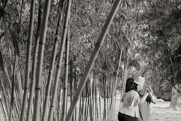 Engagement-17-BW