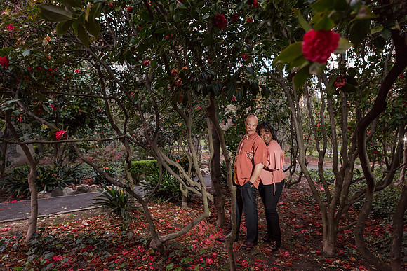 Engagement-37