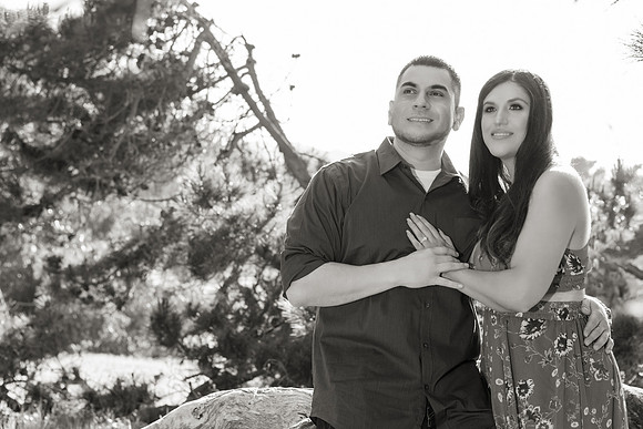 Engagement-19