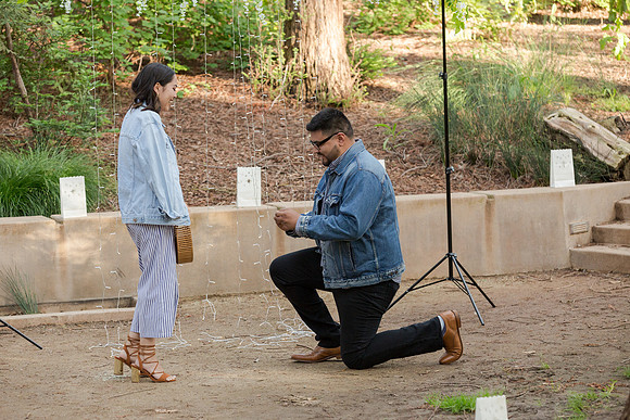 Engagement-13