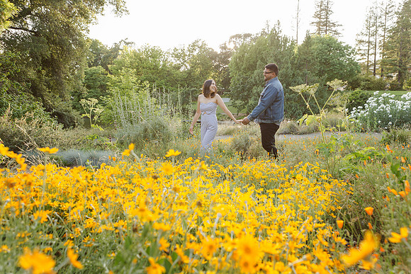 Engagement-52