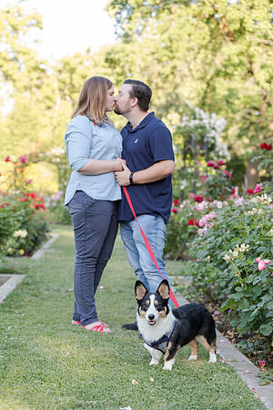 PupPictures-03