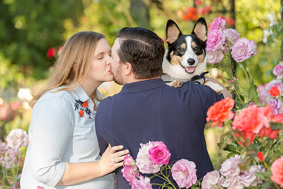 PupPictures-06