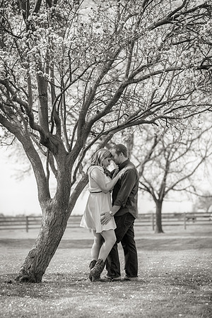 Country Themed Engagement Photos