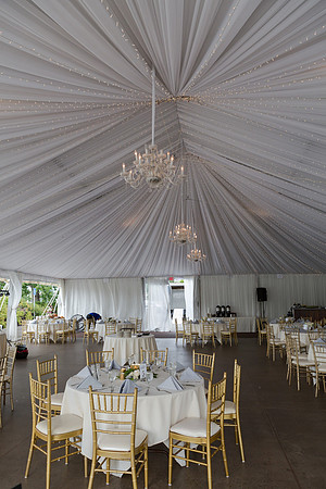 Wedding-257
