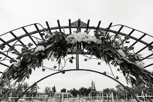 Wedding-271-BW