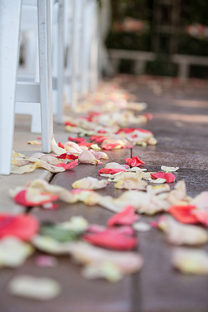 Wedding-114