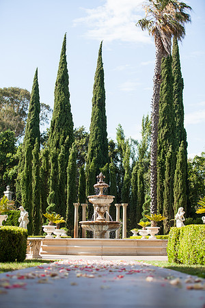 Wedding-119