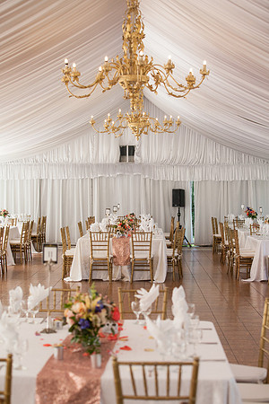 Wedding-396