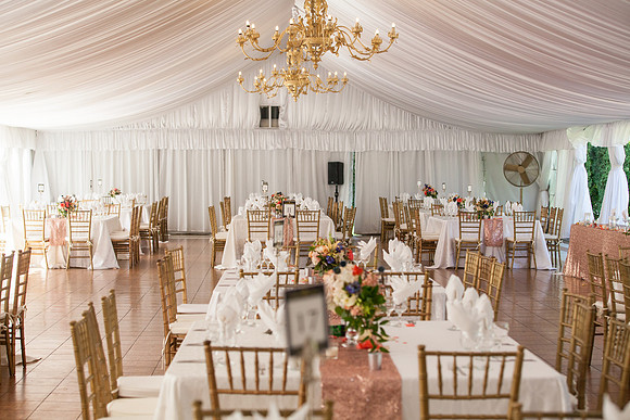 Wedding-398