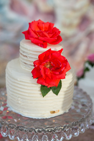 Wedding-498