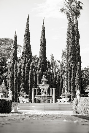 Wedding-119-BW