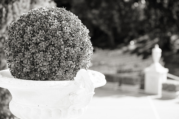 Wedding-124-BW