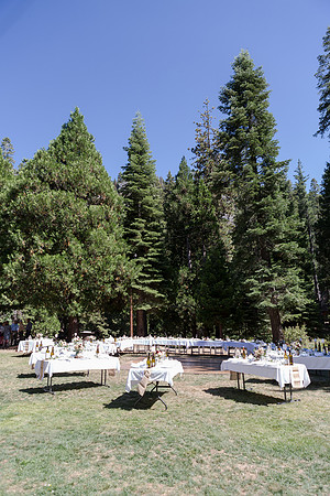 WEDDING-181