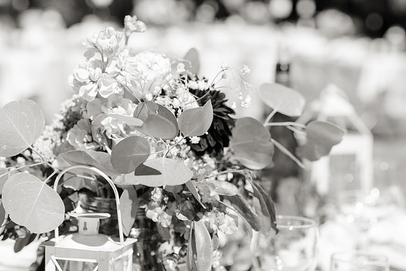 Wedding-156-BW