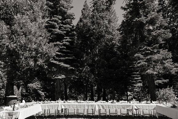 Wedding-160-BW