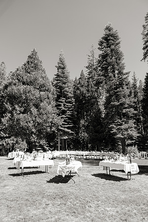 Wedding-181-BW