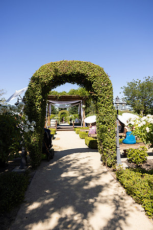Wedding-214