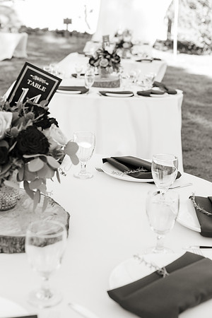Wedding-183-BW