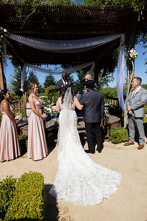 Wedding-264