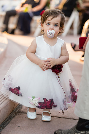 Wedding-296