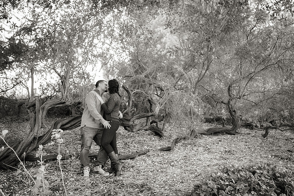Old Sacramento Engagement Photos