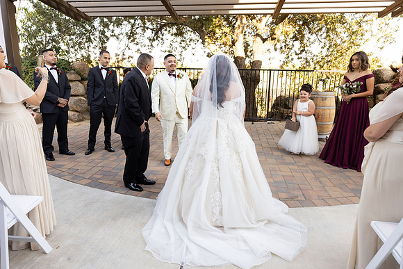 Wedding-246