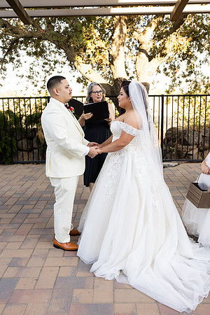 Wedding-258