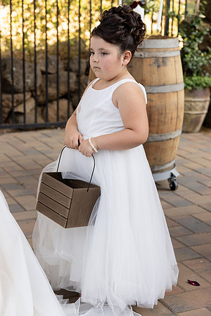 Wedding-260