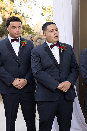 Wedding-264