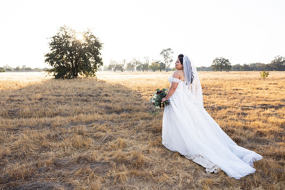 Wedding-411