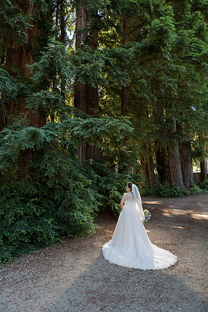 Wedding-157