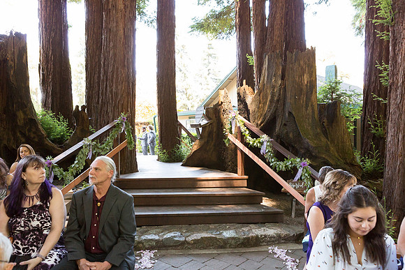 Wedding-219