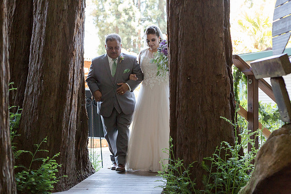 Wedding-257