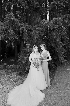 Wedding-141-BW