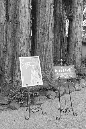 Wedding-211-BW