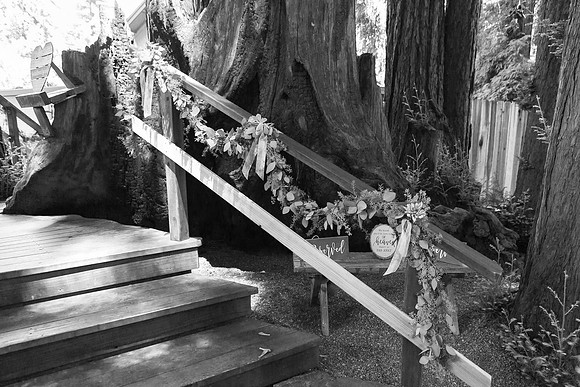 Wedding-218-BW
