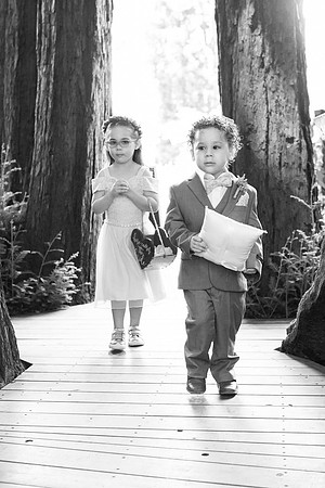 Wedding-245-BW