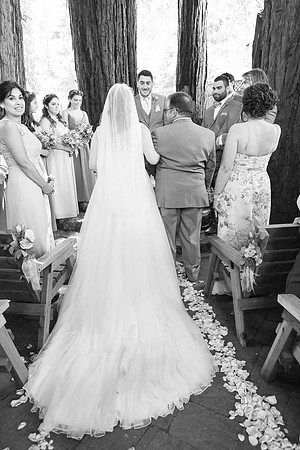 Wedding-265-BW