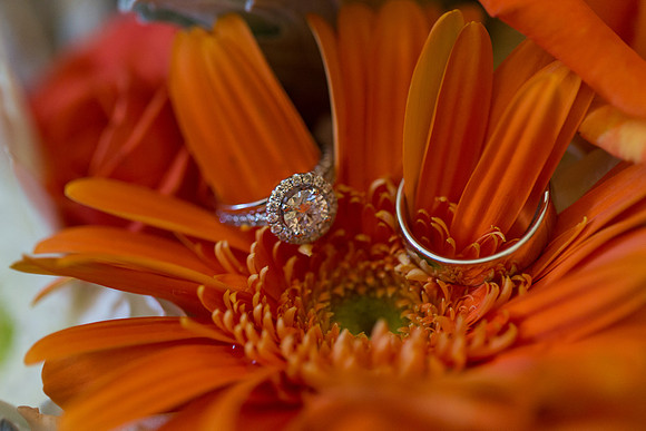 Wedding-018