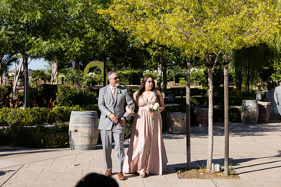 Wedding-424