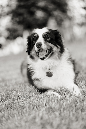 Sacramento Photography